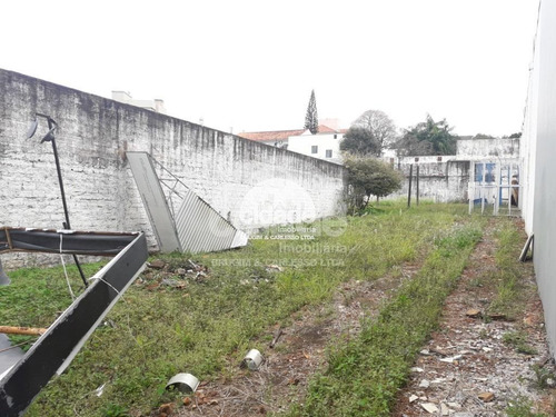 Imagem 3 de 8 de Terreno À Venda, Parque São Paulo - Cascavel/pr - 11835