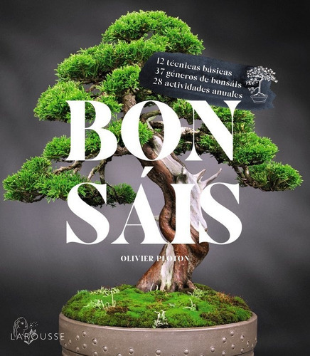 Bonsais, De Samson, Remy. Editorial Larousse, Tapa Blanda En Español