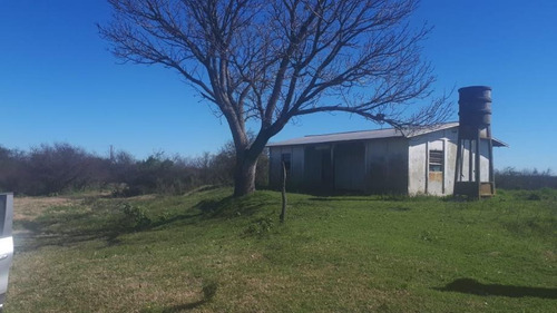 Imagen 3 de 10 de Campo En Venta En Ibicuy