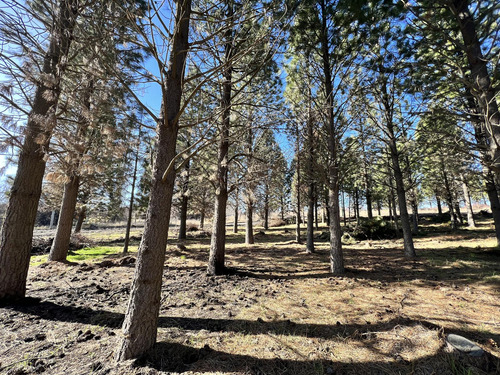 Terreno En Loteo Pine Zone