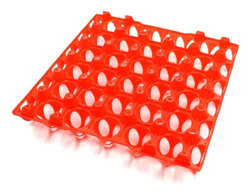 Imagen 5 de 5 de Bandeja Porta Huevos De Gallina Plastico Nuevo De Primer Uso