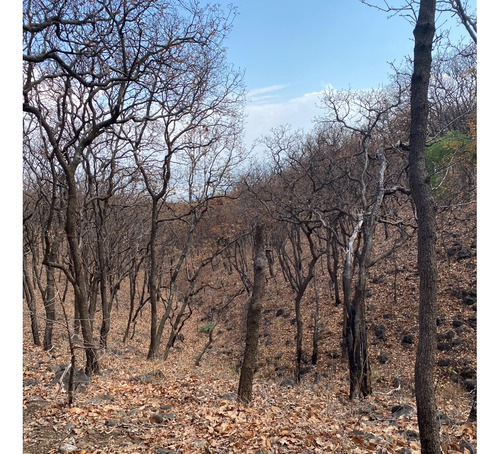 Terreno En Desarrollo Natural Madre Tierra - Teuchitlan Jalisco
