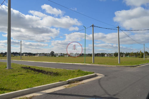 Imagen 6 de 30 de Terreno Lote En Venta Ubicado En Manuel B Gonnet, La Plata