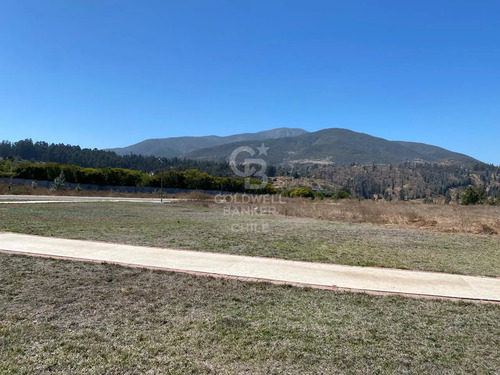 Bosques De Monte Sagrado Sitio Llegar Y Construir
