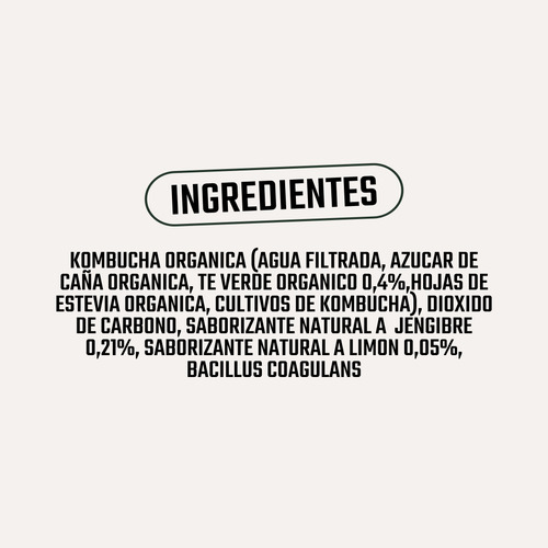 Kombucha Orgánica Jengibre Limón Gutsy Captain - 400 Ml