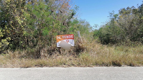 Venta De Rancho A Orilla De Carretera Tizimin- Cuyo