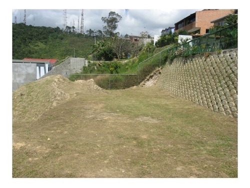 Imagen 3 de 6 de Vendo Terreno 600m2 Oripoto 6229