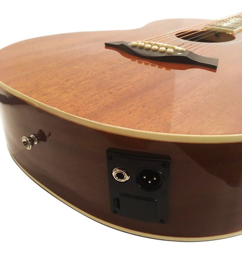 Imagen 5 de 10 de Guitarra Electroacústica Cuerdas De Acero Micrófono Funda