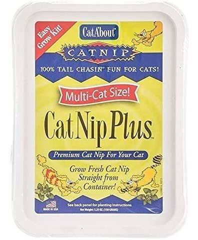 Cat-about By Miraclecorp Gimborn Multi-catnip Plus, 150-gram