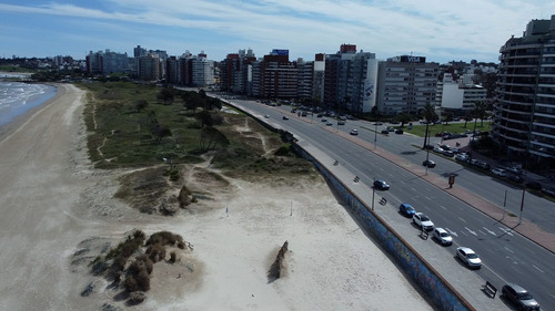 Se Vende Terreno De 710m2 En Malvín
