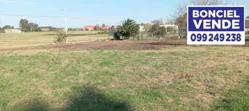 Amplio Terreno En Excelente Ubicación