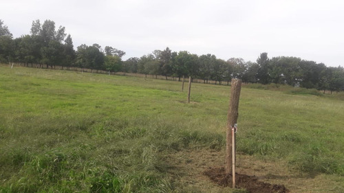 Terreno En Venta - 432mts2 - Don Jemel Ii, Abasto, La Plata