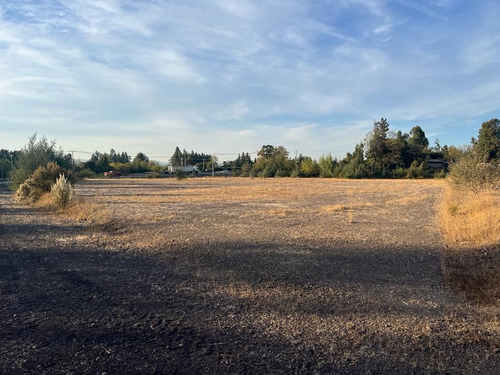 Terreno Industrial En Venta En Curicó; Secto Montaña De Teno