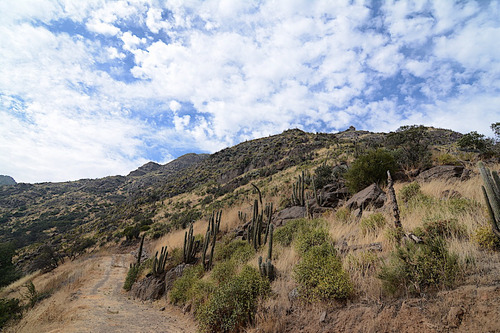 Terreno Único En Condominio