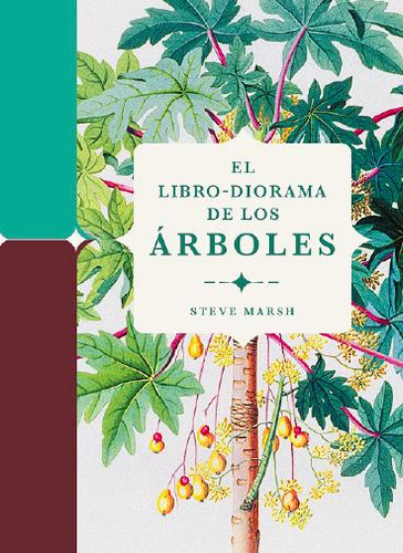 Libro: El Libro-diorama De Los Árboles. Marsh, Steve. Folios