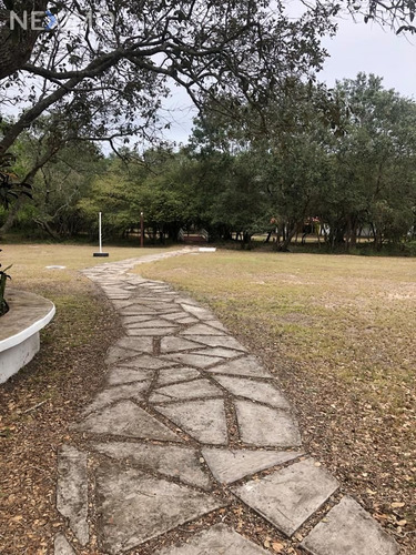 Imagen 4 de 15 de Venta De Terreno Campestre En Tampico-tuxpan