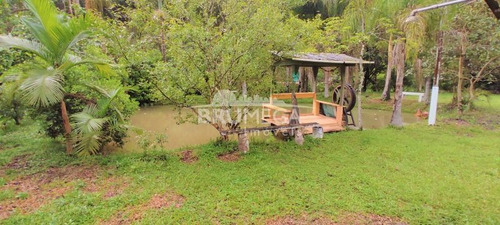 Imagem 3 de 10 de Sitio Com Ribeirão E Lagoa - 4094