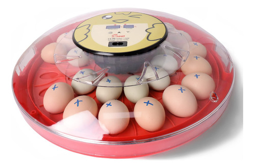 Incubadora De Huevos Digital Automática - 30 Huevos
