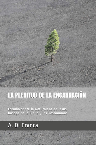 Libro La Plenitud De La Encarnación: Estudio Sobre Natura