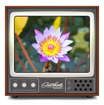 Comprar S Suporte De Lupa De Tela De Cinema 3d Para Telefones