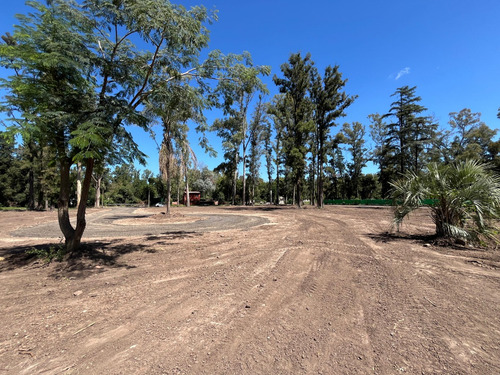 Terrenos En Venta Loteo Abierto Cedro Azul Gran Ubicación Entrega Inmediata
