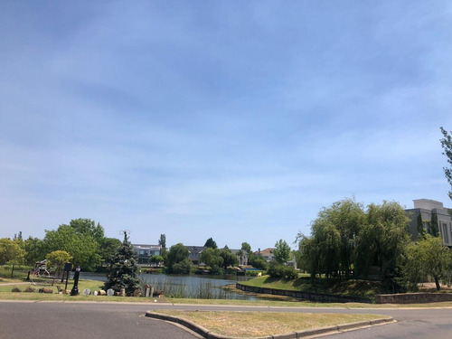 Imagen 7 de 18 de Venta Lote En La Alameda