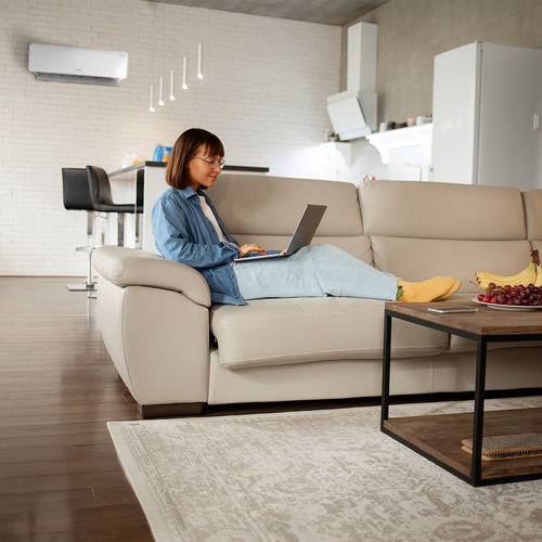Aire Acondicionado Noblex Minisplit Inverter Nxin50c21amx Frio 18000 Btu 230v