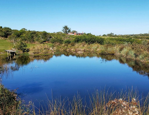 Maldonado Venta Chacra 38 Hectareas 50km De Punta Del Este