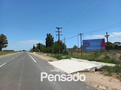 Imagen 11 de 18 de En Venta 1 Hectarea Con Servicios