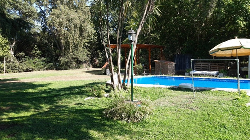 Imagen 6 de 11 de Alquiler De Quinta Para Pasar El Día En 20 De Junio - La Mat