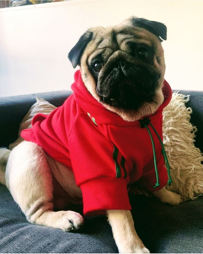 Buzo Hoodie Ropa De Perro Friza Rojo Algodon Talles Grandes