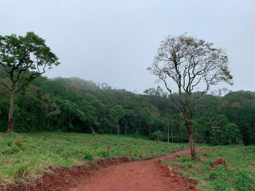 Imagem 12 de 14 de A26 Terreno Com Otima Negociação