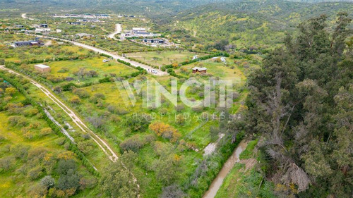 Parcela De 5000m2 Condominio Las Añañucas Limache