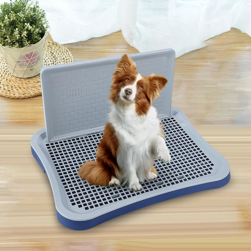 Mictório Higiênico Lavável Para Cães Com Coluna Azul