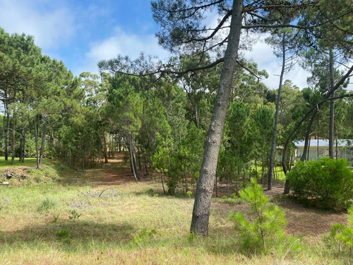 Lote En Venta Zona Alamos (tres Carabelas E/ Garzas Y Calandria)