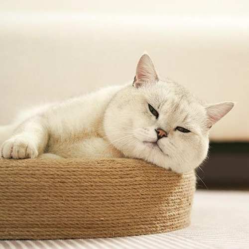 Rascador Para Gatos, Cuenco, Rascador Para Gatos, Cama Para
