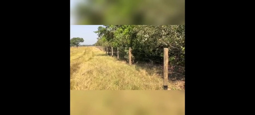 Imagem 8 de 30 de Fazenda 3366 Hectares, 5 Poços Artesianos, 4 Reservatórios De Agua, 42 Bebedouros De 12mil Litros, 80 Casinhas De Cocho Cobertas, 2 Corredores Centrai - Fa00043 - 69928786