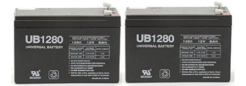 Razor E200 /e200s /e300 Reemplazo De La Batería