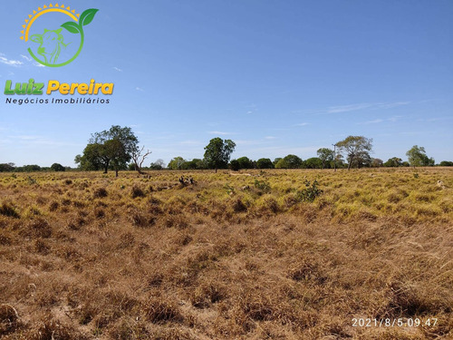 Imagem 3 de 15 de Fazenda À Venda No Vale Do Araguaia - To 532 Hec (dupla Aptidão) - 1912