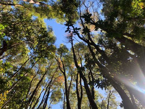 Parcelas En Reserva RÃo San Pedro, Preserva Tu Futuro.