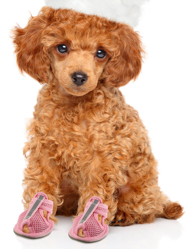 4 Botas Transpirables De Verano Para Mascotas, Sandalias De