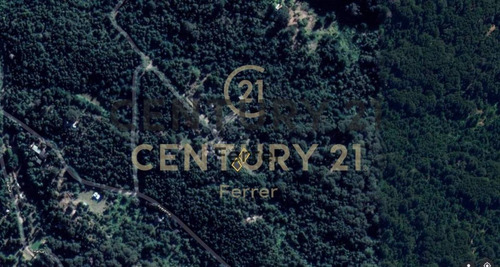 Imagen 6 de 15 de Lote En Venta - Bariloche - Zona Llao Llao - Id:15240