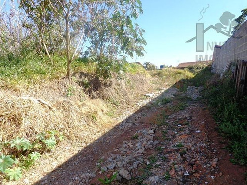 Imagem 4 de 10 de Cod 3643 Belíssimo Terreno Em São Roque - 3643