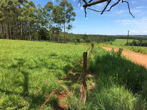 Imagen 18 de 21 de Lote En Venta 2438m2 En Puerto Rico - Loteo Clemens Blick