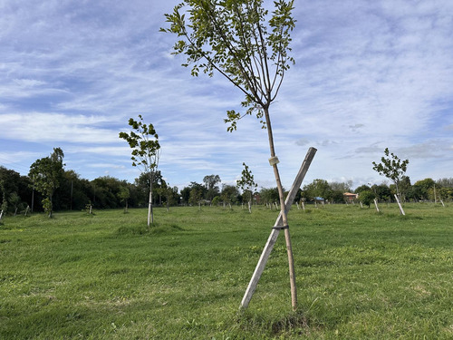 Terreno En Venta, Maschwitz, Escobar, Eco Chacras
