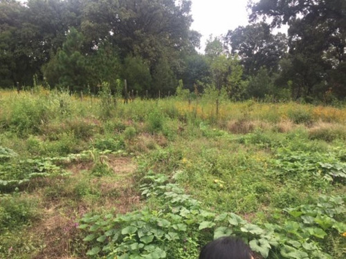 Imagen 3 de 6 de Terreno Campestre En Santa María Ahuacatitlán / Cuernavaca - Maz-126-tca