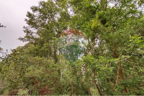 Gran Terreno 5.5 Ha Cercano Al Pueblo De Mafil