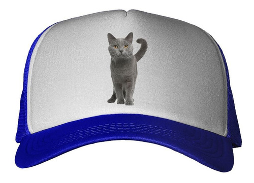 Gorra Gato Azul Ruso Caminando