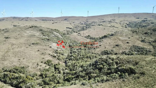 Venta - Campito De 42 Hectáreas En Las Sierras