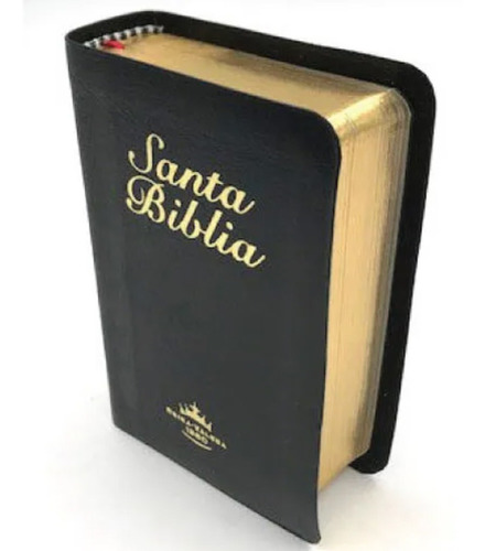 Biblia De Bolsillo Reina Valera 1960 Negra Filo Dorado